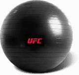   UFC 75 
